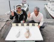 黒島の磯　ナチュラル系カラーでアオリイカ