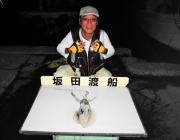 黒島の磯　11日ヤエンでのアオリイカ釣果