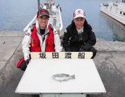 黒島の磯でのグレ釣り