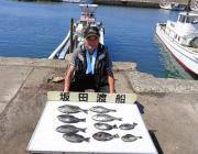 黒島の磯グレ　上向き調子です♪