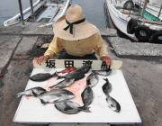 黒島の磯　グレ11匹にチヌの釣果