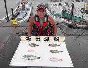 父の日プレゼントは多彩なお魚たちでした　黒…