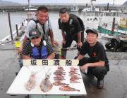 黒島の磯でのアオリイカ釣果