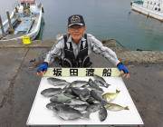 梅雨グレ好期到来☆20匹の釣果　黒島の磯