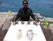 エギングでアオリイカ♪　黒島の磯