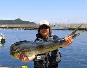 黒島の磯　トップでシイラ106ｃｍがヒット…