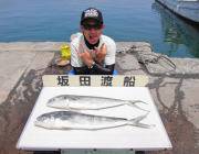 ルアーでシイラの季節到来☆黒島の磯