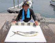 シイラが釣れています☆黒島の磯