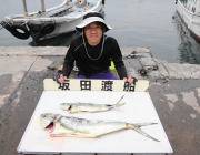 シイラが釣れています☆黒島の磯