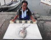 黒島の磯　ヤエンのアオリイカ釣果