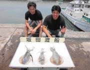 黒島の磯　22日ヤエンのアオリイカ釣果