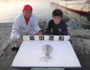 黒島の磯　22日ヤエンのアオリイカ釣果