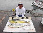 黒島の磯　キャスティングでシイラ好調！