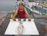 2キロUPのアオリイカ☆黒島の磯