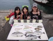 筏釣りガールのチヌ釣果&ヒラメ・マ…