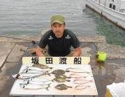 黒島の筏、ナイスサイズのサバ釣れてますよ〜…