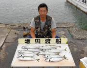 黒島の筏、ナイスサイズのサバ釣れてますよ〜♪