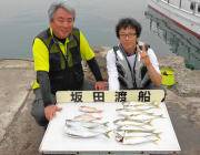 シラサエビを使って良型アジGET！黒島の筏…