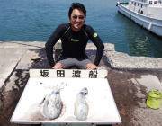 ヤエンでアオリイカ5ハイ釣れました～♪