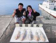 ヤエンでアオリイカ5ハイ釣れました～♪