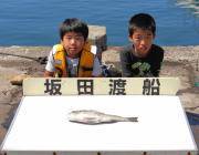 黒島の筏でチヌ五目釣り