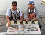 黒島の筏でチヌ五目釣り