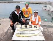 黒島の磯ルアー釣果　シイラのほかヒラメ&タチウオも
