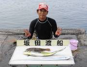 黒島の磯ルアー釣果　シイラのほかヒラメ&a…