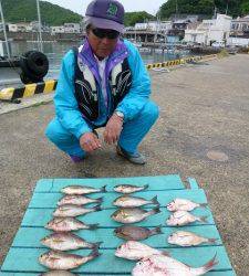 神谷一文字　カゴ釣りでイサギ・ゴマサバ・小ダイ釣果
