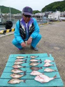 神谷一文字　カゴ釣りでイサギ・ゴマサバ・小ダイ釣果