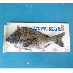 大丹生カセ 　チヌ47.5cm他ガシラ