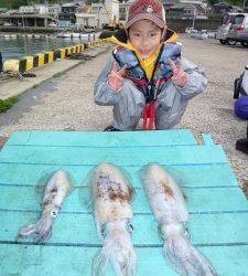 神谷一文字　ヤエンでアオリイカ〜1.6kgの釣果