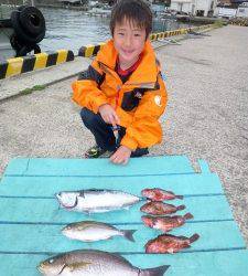 神谷一文字　カゴ釣りでイサギ〜36cmの釣果