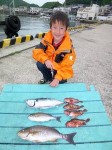 神谷一文字　カゴ釣りでイサギ〜36cmの釣…