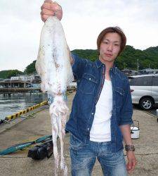 沖一文字、ヤエンでアオリイカ狙い　〜1.2kg〜