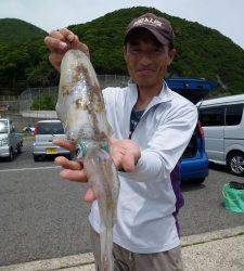 神谷一文字、ヤエンでアオリの釣果