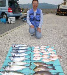 沖一文字内向き　イサギ・ゴマサバ・ソーダガツオ脂のっています！