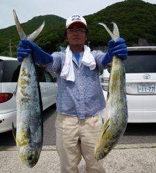 ヒラバエ、80cmのシイラ2尾あがってます！