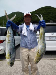 ヒラバエ、80cmのシイラ2尾あがってます…