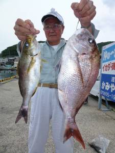 神谷一文字　ヤエンでアオリイカ〜1.3kg…