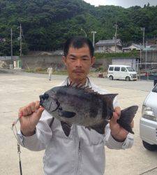 双子の親にてサンバソウ　これから面白くなってきます☆