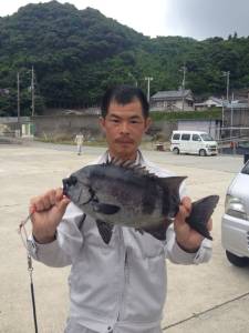 双子の親にてサンバソウ　これから面白くなっ…