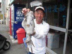 キハチ磯でアジの泳がせヤエン釣り、アオリ1kg