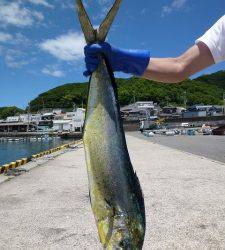 晴天の沖一文字内向き、90cmのシイラをＧｅｔ！