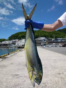 晴天の沖一文字内向き、90cmのシイラをＧ…