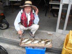 有田エリアの磯でフカセ釣り、アイゴ・グレなどの釣果☆