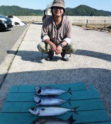 カゴ釣りは色々釣れています、神谷一文字