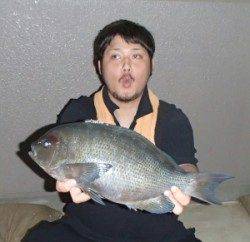 舞鶴田井の磯でグレ45.6㎝と31.6㎝の釣果