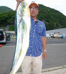 ヒラバエでシイラ75cm、ボチボチ釣れていました