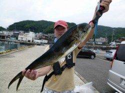 シイラ75cm！！沖一文字でルアー釣り